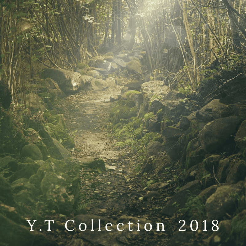 苔むした石と木々に囲まれた、神秘的な森の道