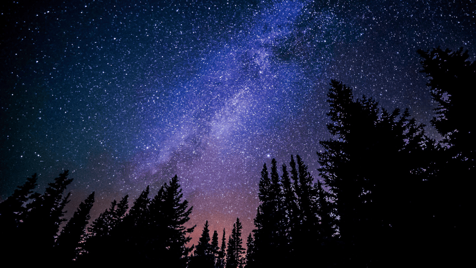 神秘的な夜空、無数の星と木々のシルエット