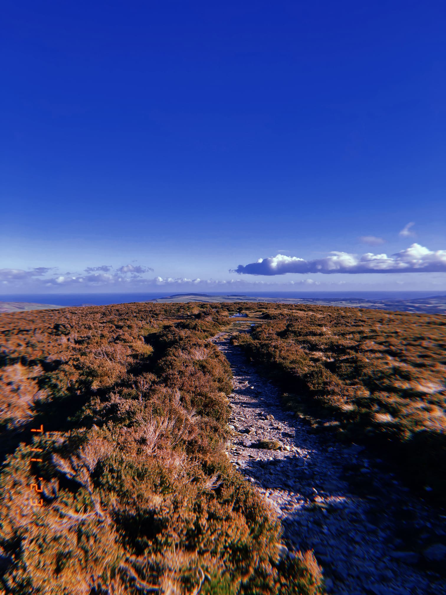 ウィックロウの原野を横切る小道