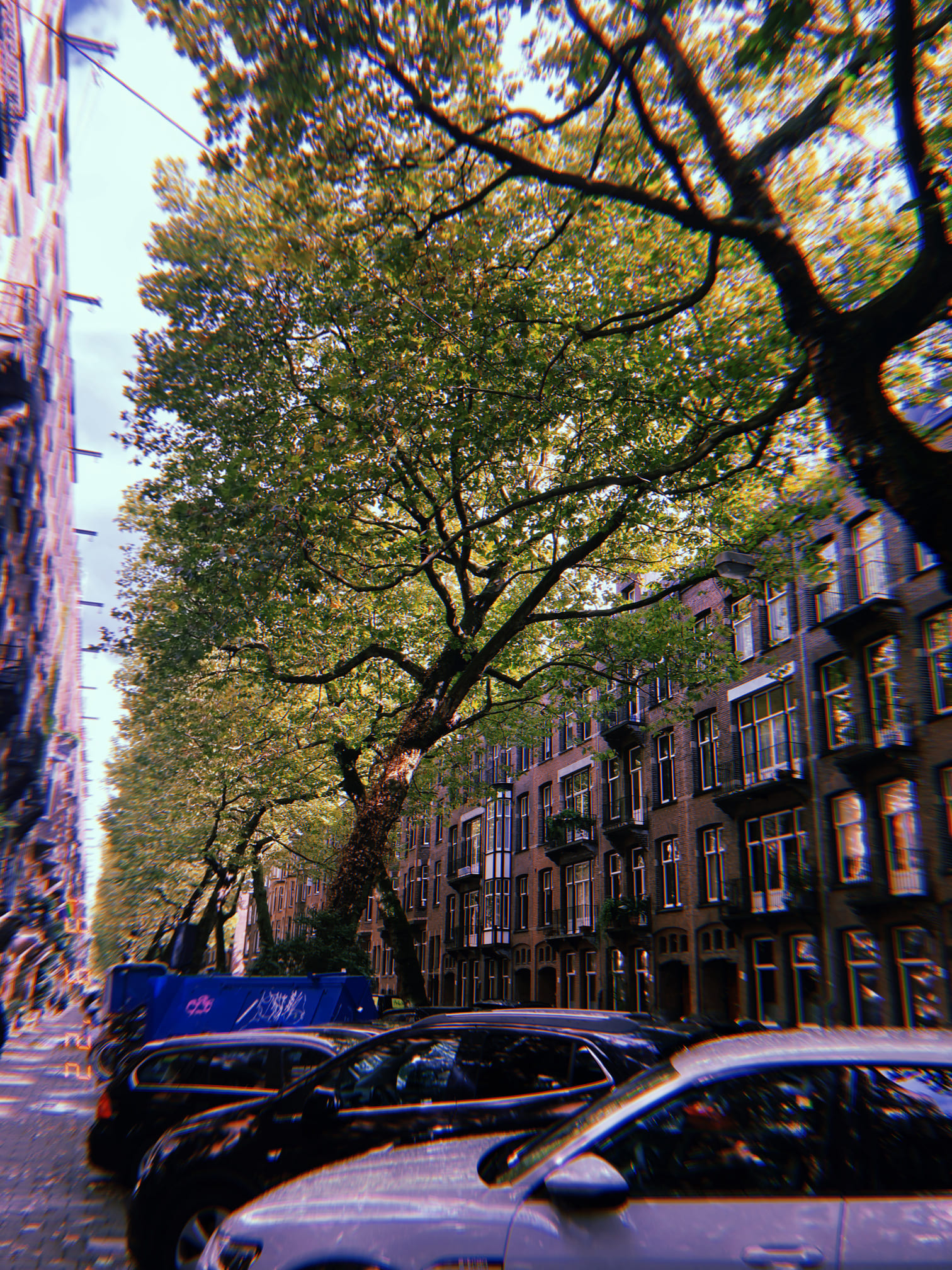 並木道とレンガ造りの建物