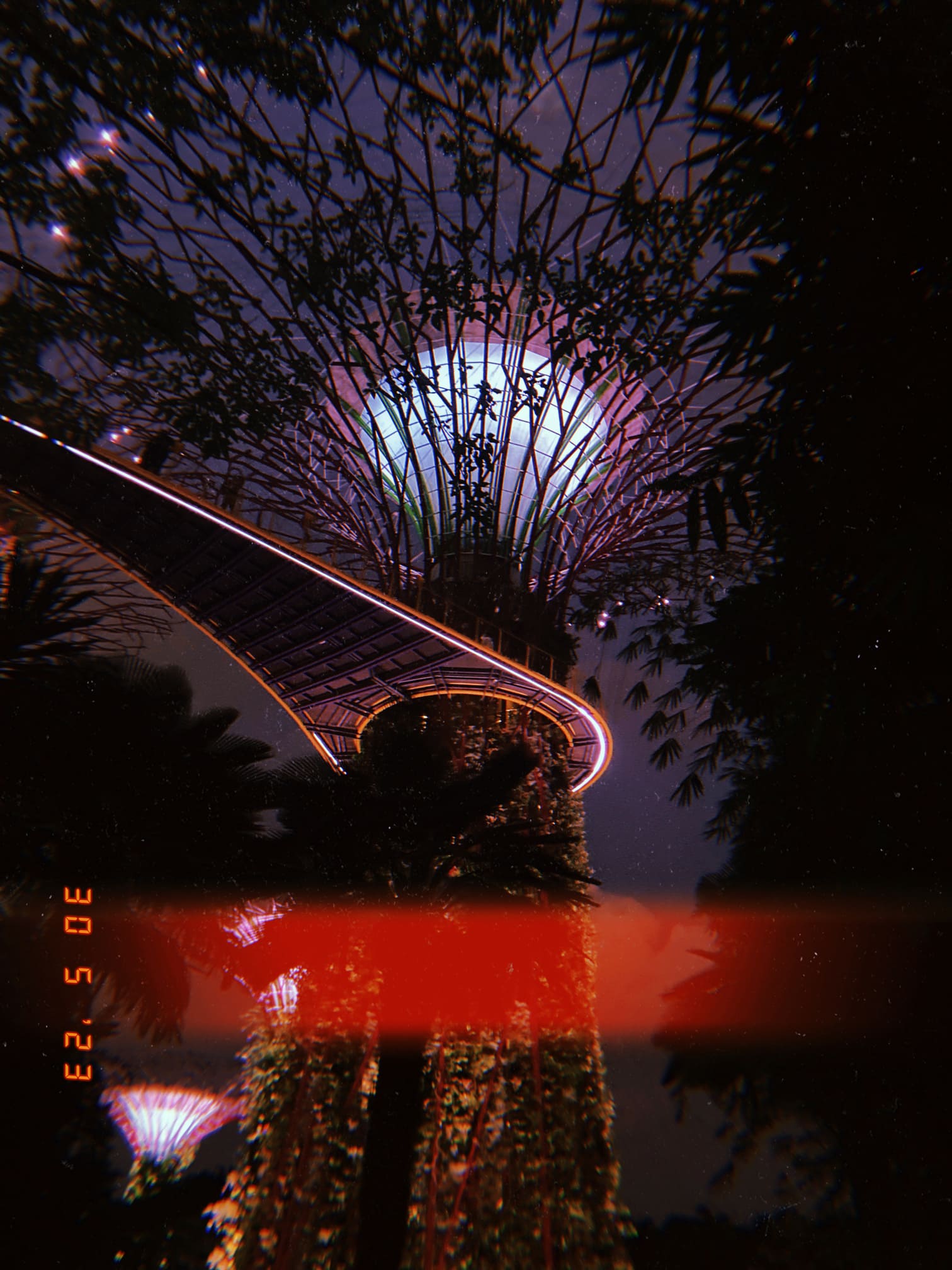 ライトアップされたスーパーツリーと空中歩道