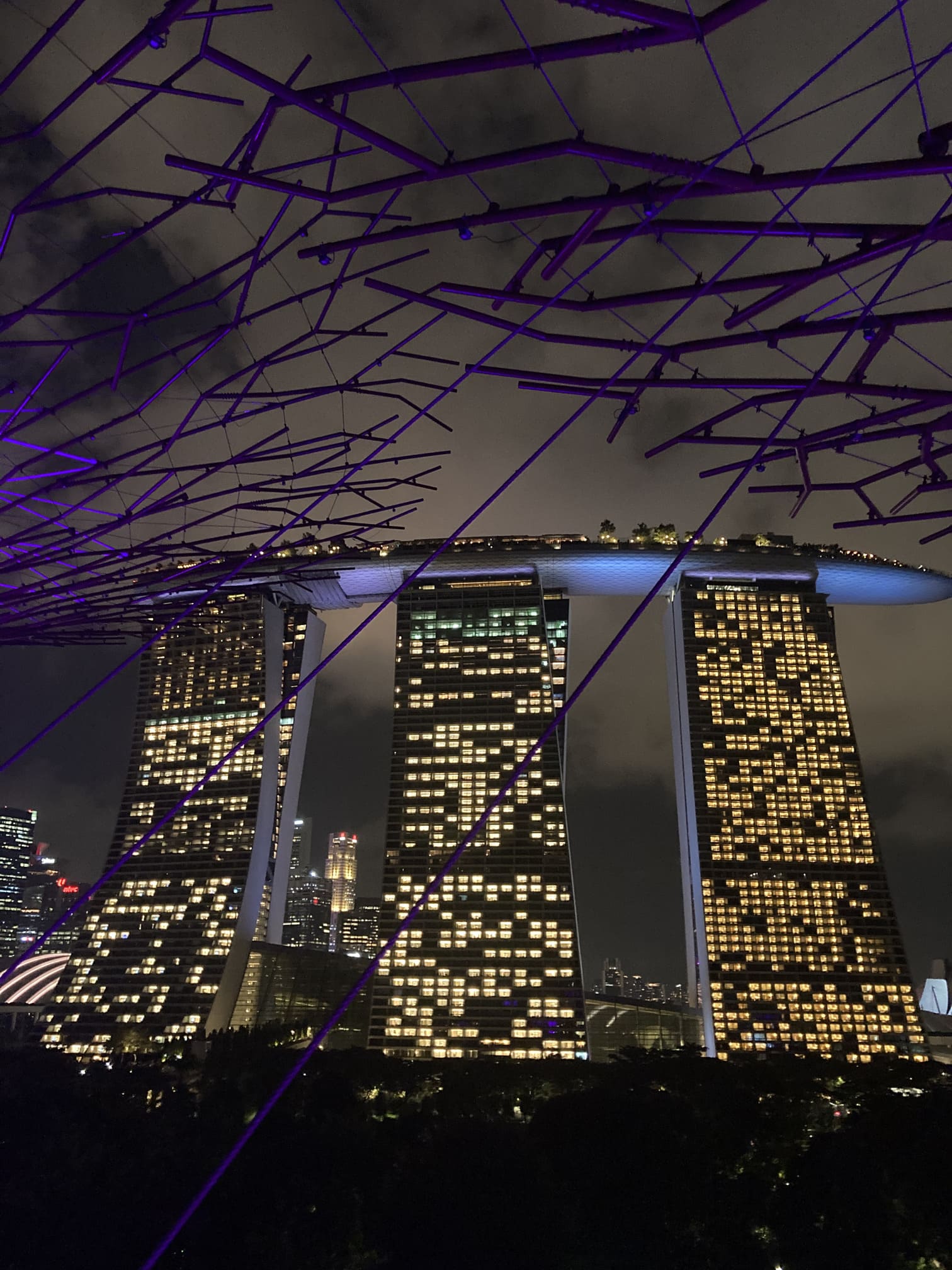 夜のマリーナ・ベイ・サンズをスーパーツリーの間から望む