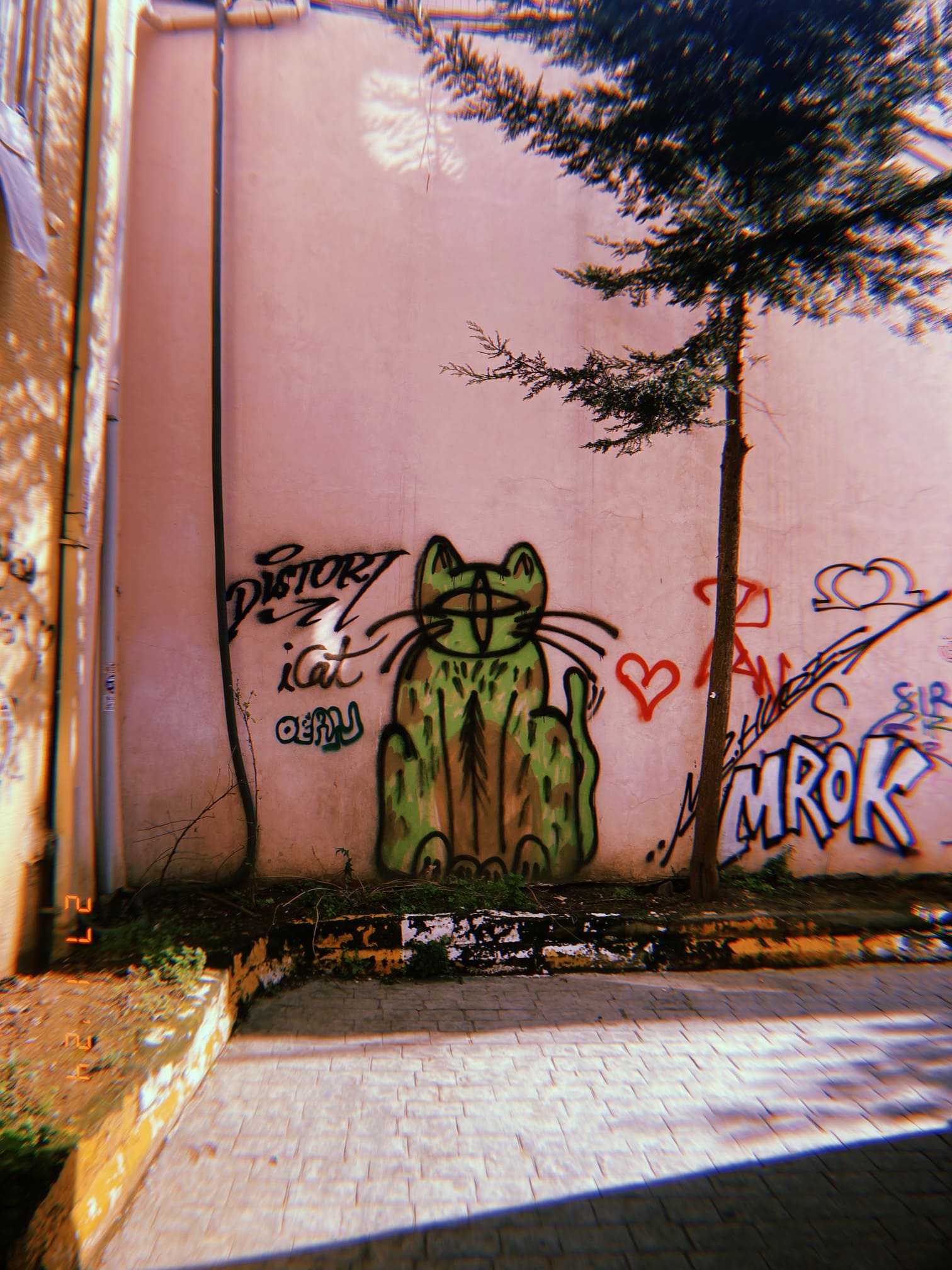 壁に描かれた黄色い猫のグラフィティアート