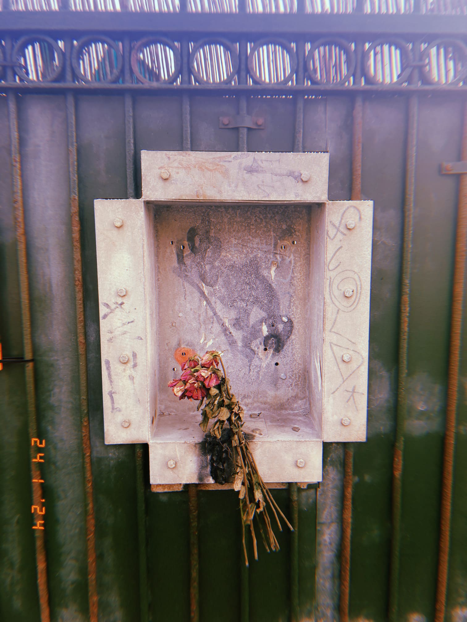 緑のフェンスに結ばれた枯れた花束（ヘイスティングス）