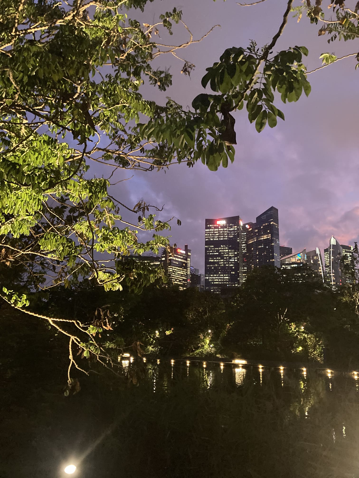 ガーデンズ・バイ・ザ・ベイ越しに見る高層ビル群の夜景