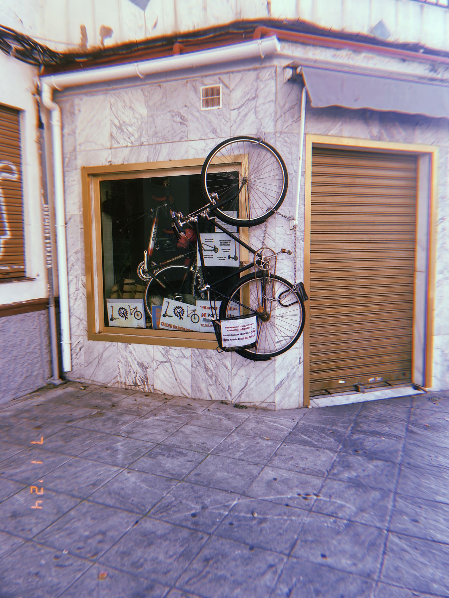 壁に展示された自転車