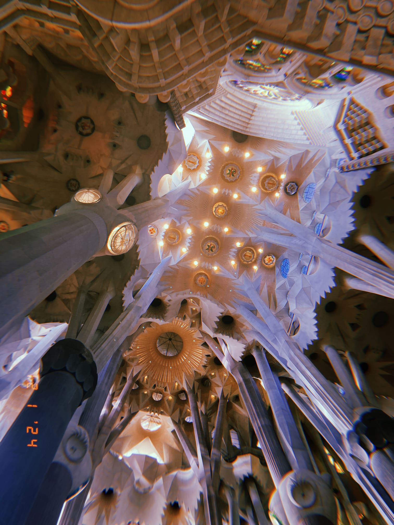 サグラダ・ファミリアの天井内部